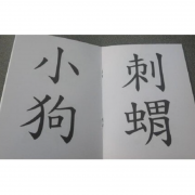 巧育_寶貝的識字書 (全12冊)(每冊有32個字詞)