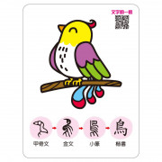 記憶認字圖畫卡：動物植物