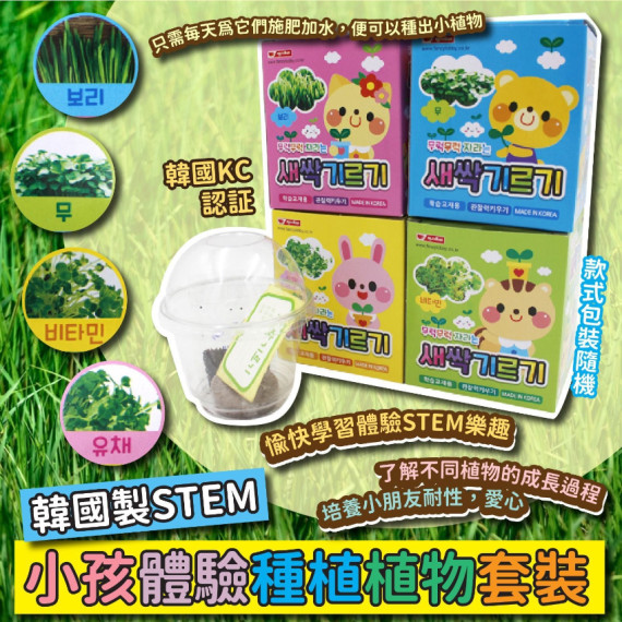 韓國 STEM小孩體驗種植植物套裝(款式隨機)