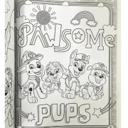 PAW PATROL Rainbow Sunshine Activity Case